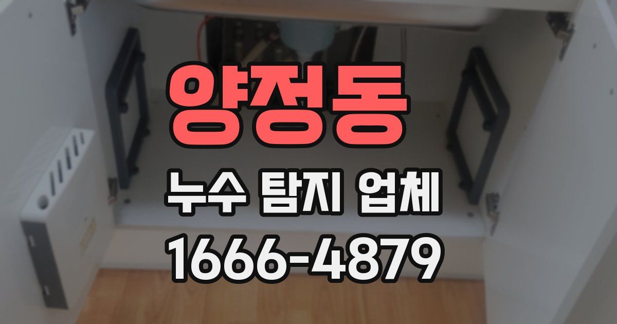양정동 누수 탐지 업체