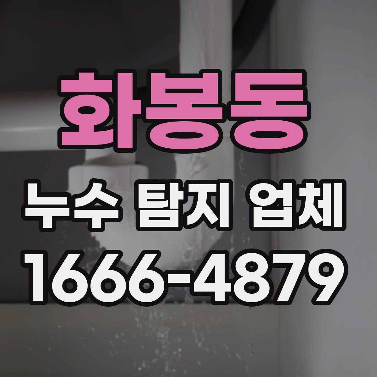 화봉동 누수 탐지 업체