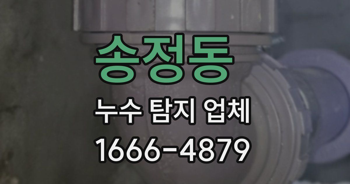송정동 누수 탐지 업체