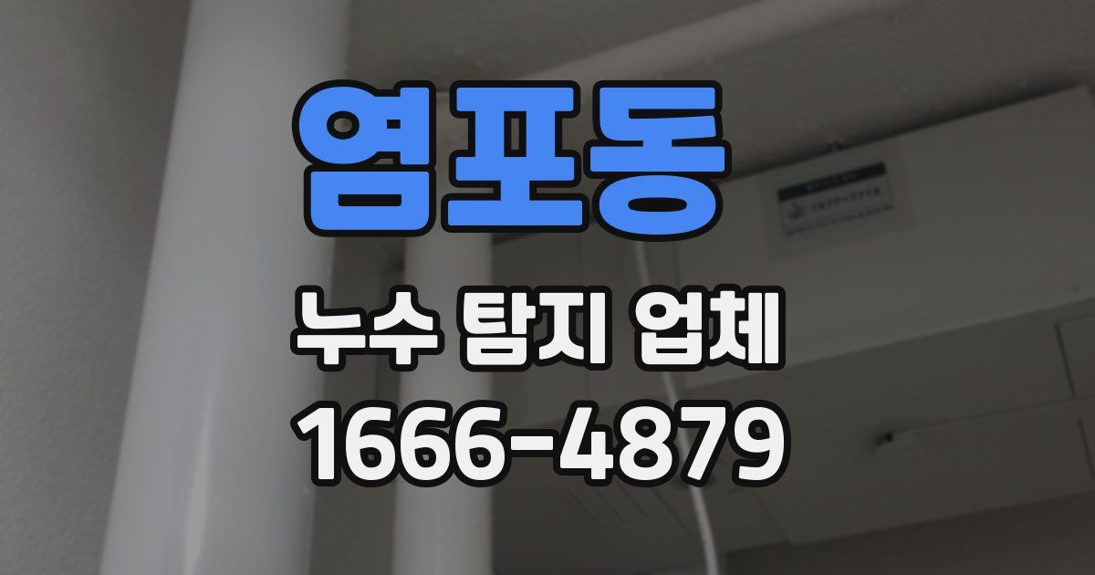 염포동 누수 탐지 업체