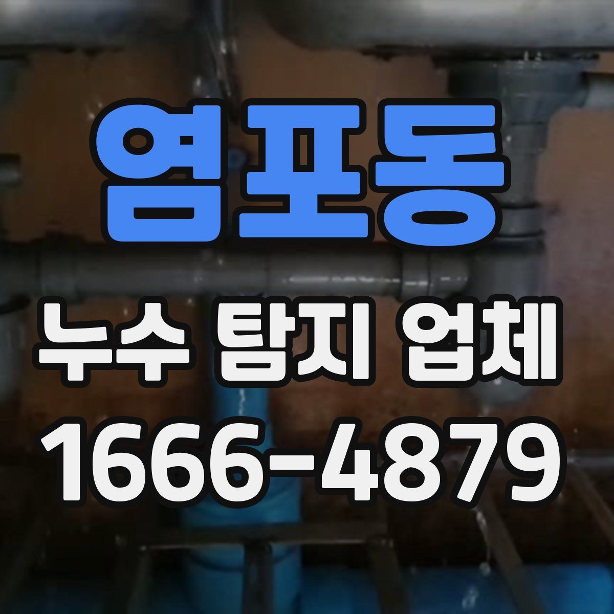 염포동 누수 탐지 업체