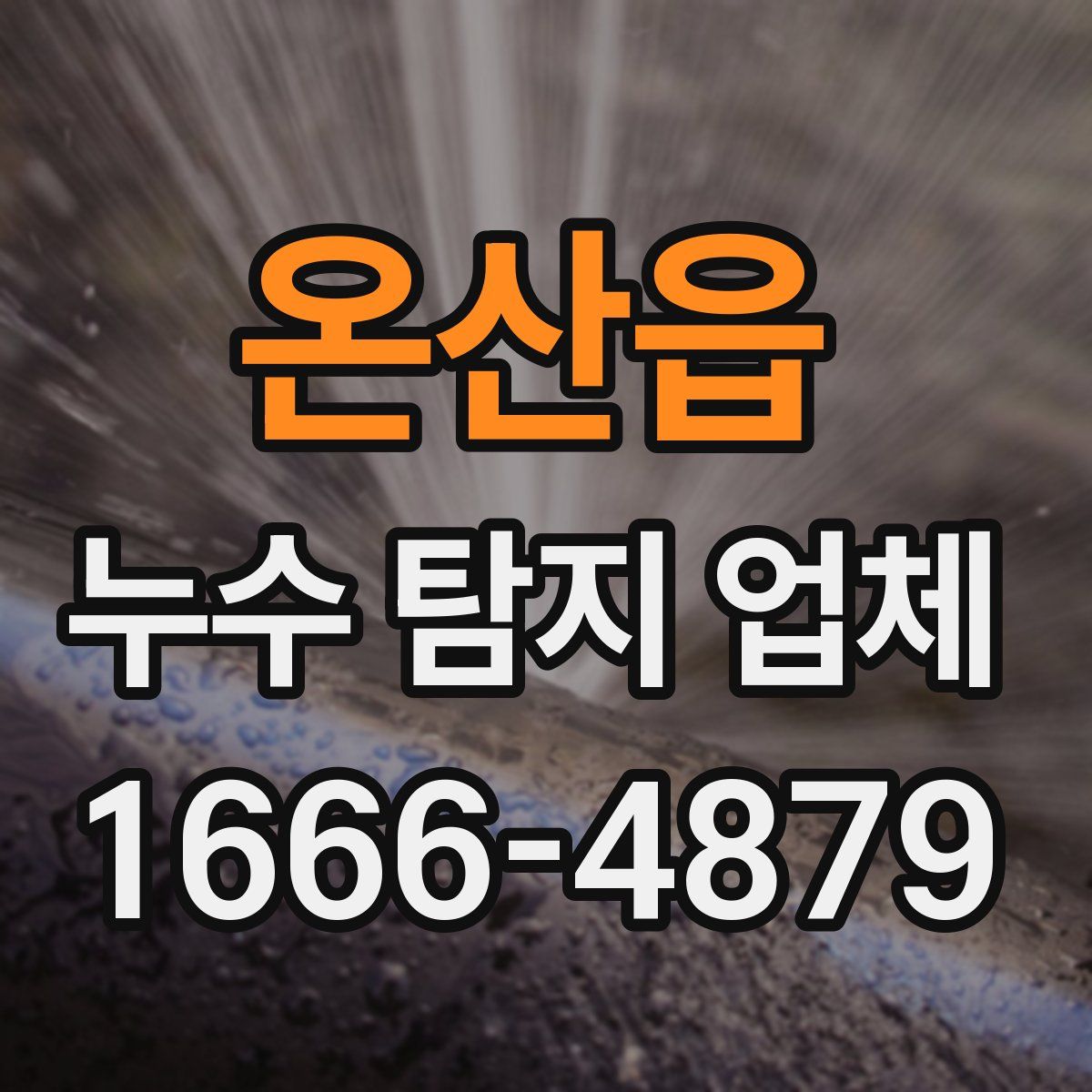 온산읍 누수 탐지 업체