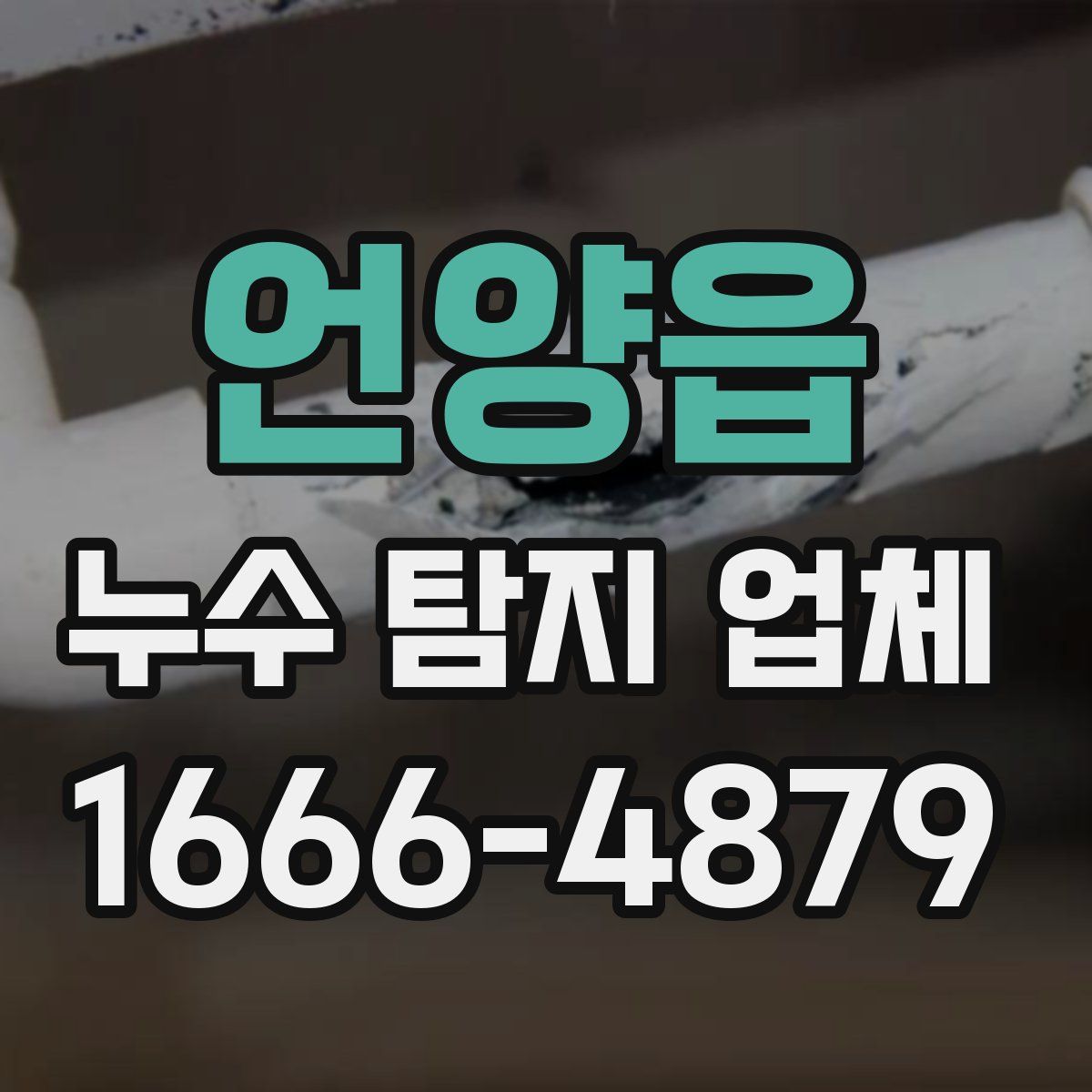 언양읍 누수 탐지 업체
