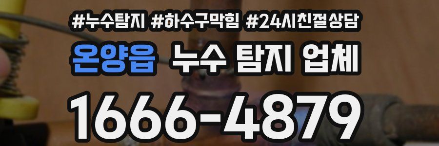 온양읍 누수 탐지 업체