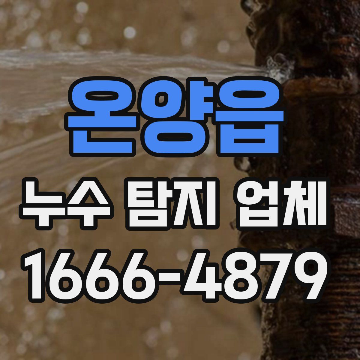 온양읍 누수 탐지 업체
