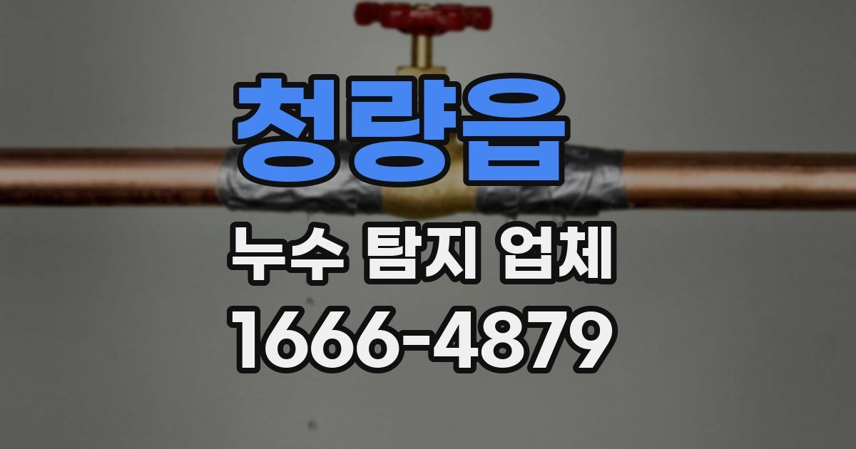 청량읍 누수 탐지 업체