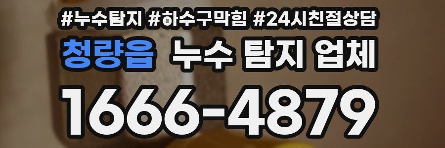 청량읍 누수 탐지 업체