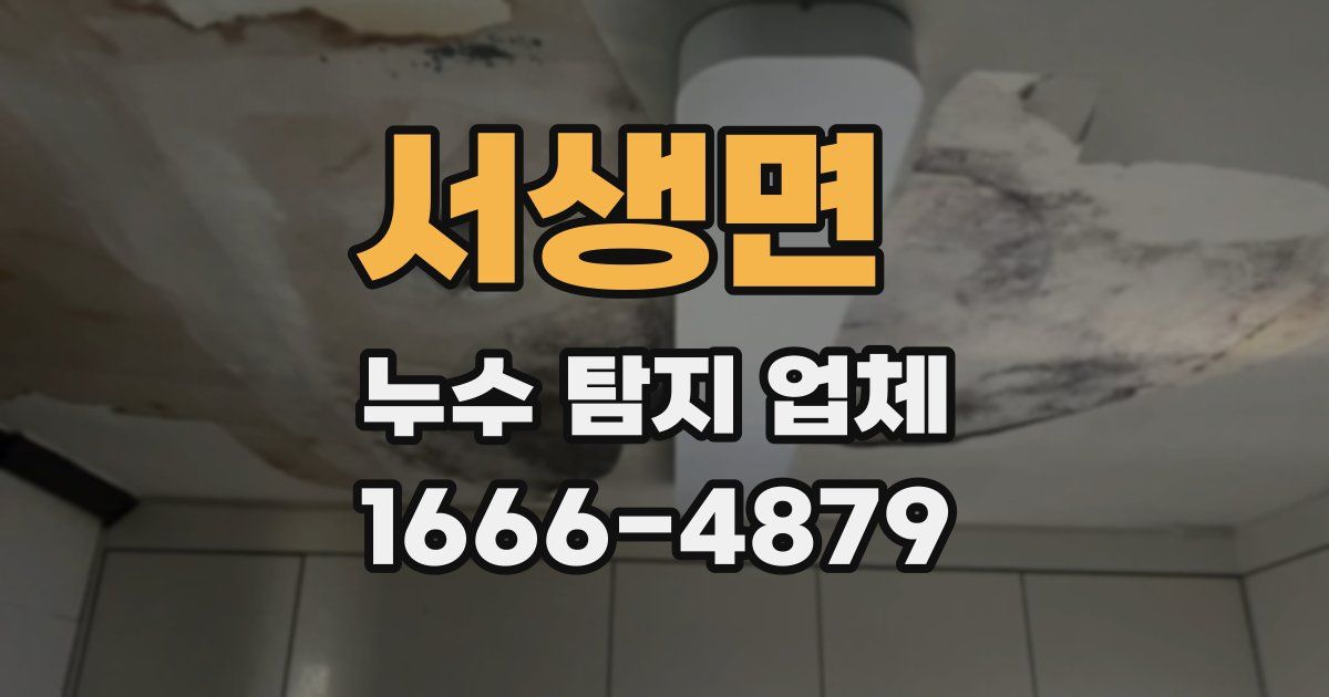 서생면 누수 탐지 업체