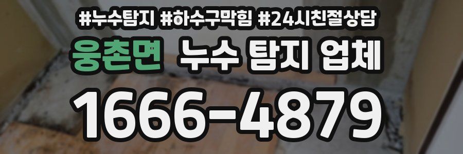웅촌면 누수 탐지 업체