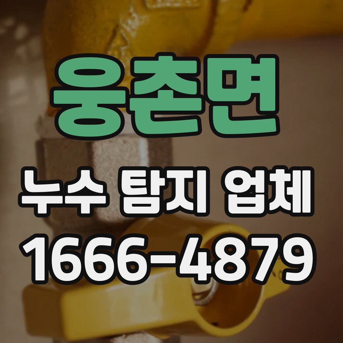 웅촌면 누수 탐지 업체