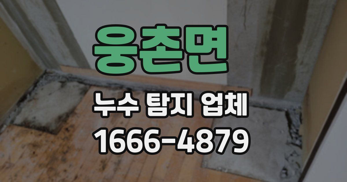웅촌면 누수 탐지 업체