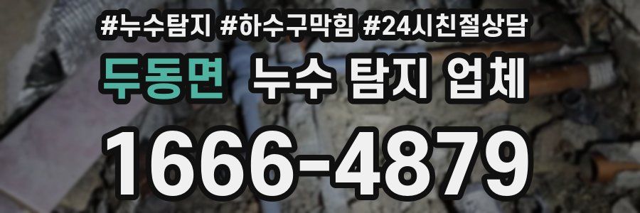 두동면 누수 탐지 업체