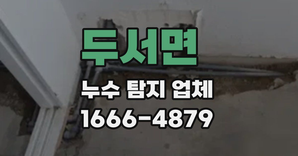 두서면 누수 탐지 업체