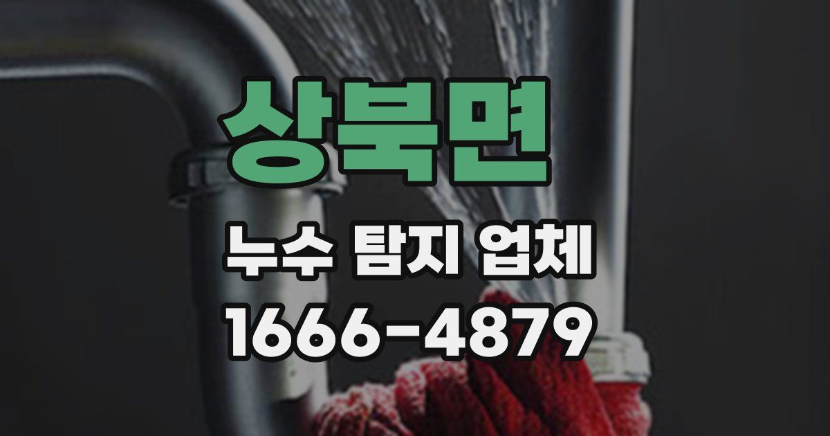 상북면 누수 탐지 업체