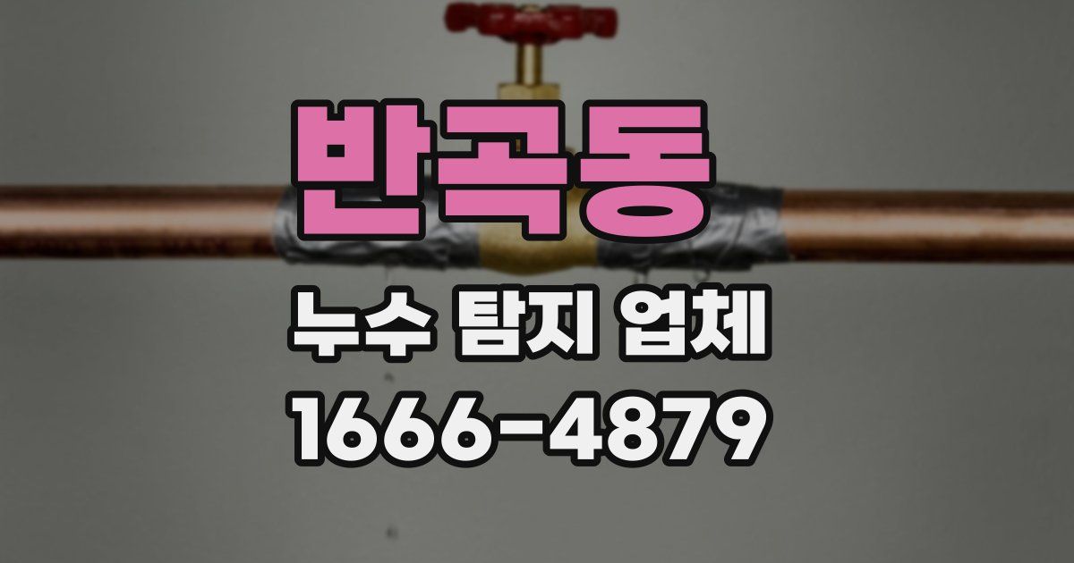 반곡동 누수 탐지 업체