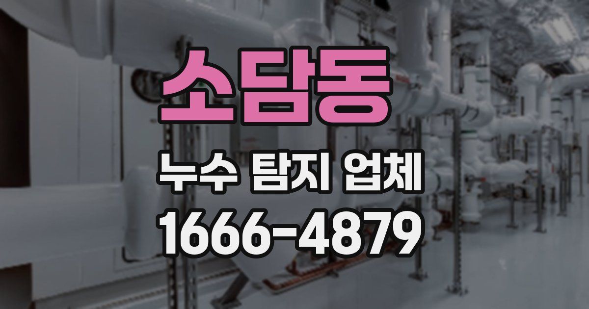 소담동 누수 탐지 업체