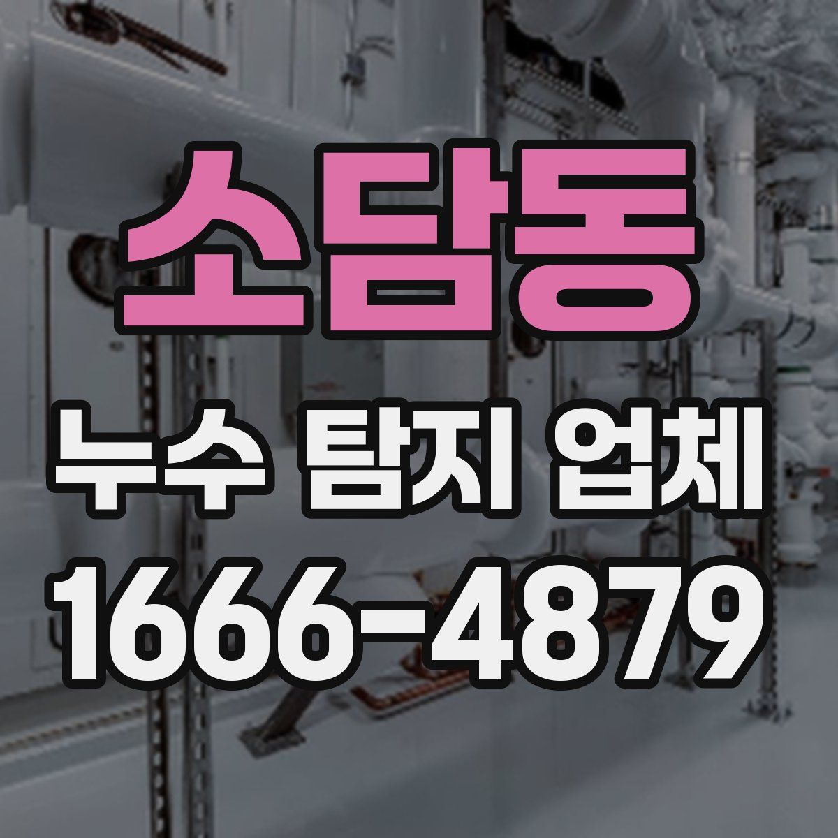 소담동 누수 탐지 업체
