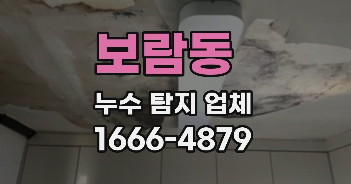 보람동 누수 탐지 업체