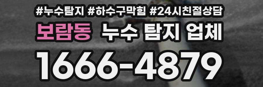 보람동 누수 탐지 업체