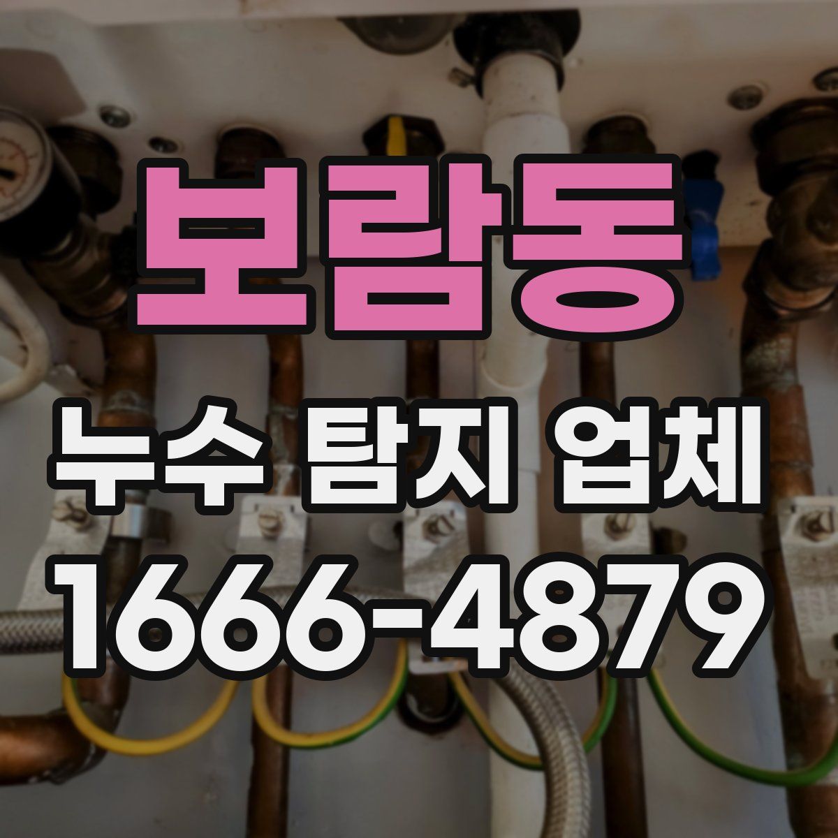 보람동 누수 탐지 업체