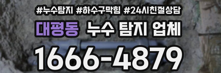 대평동 누수 탐지 업체