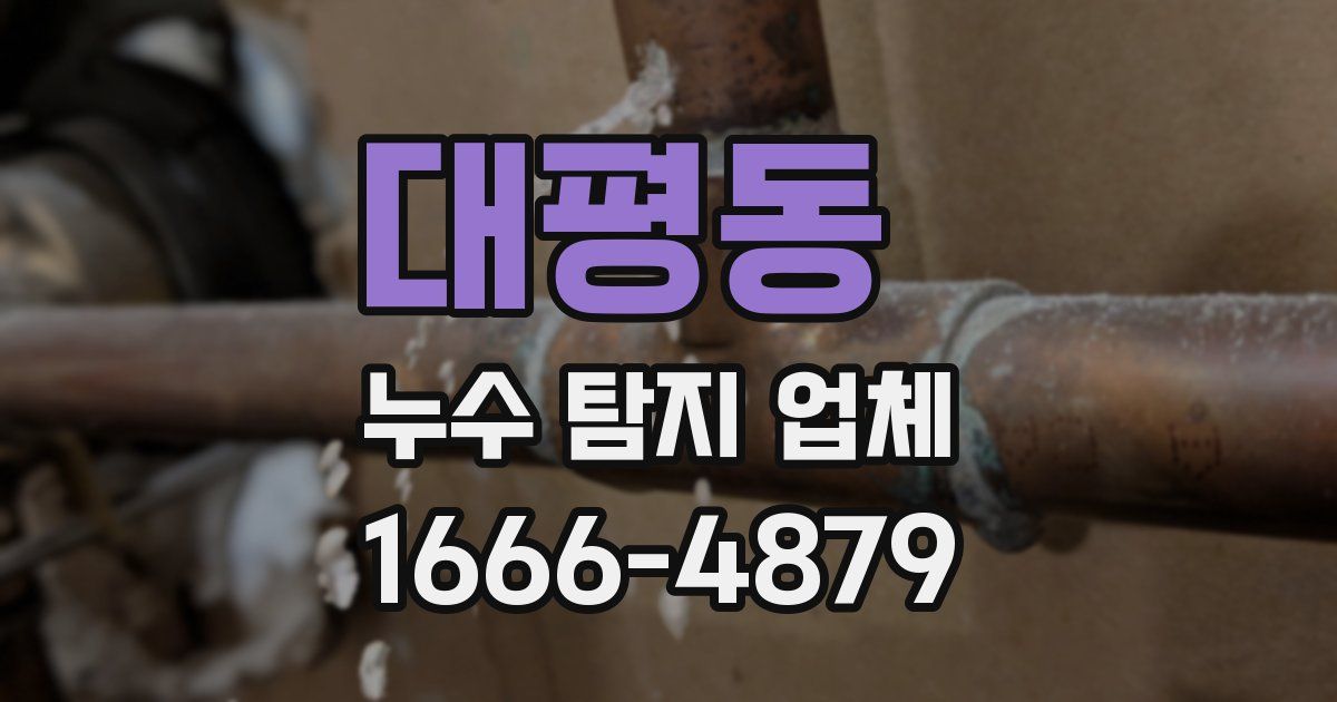 대평동 누수 탐지 업체