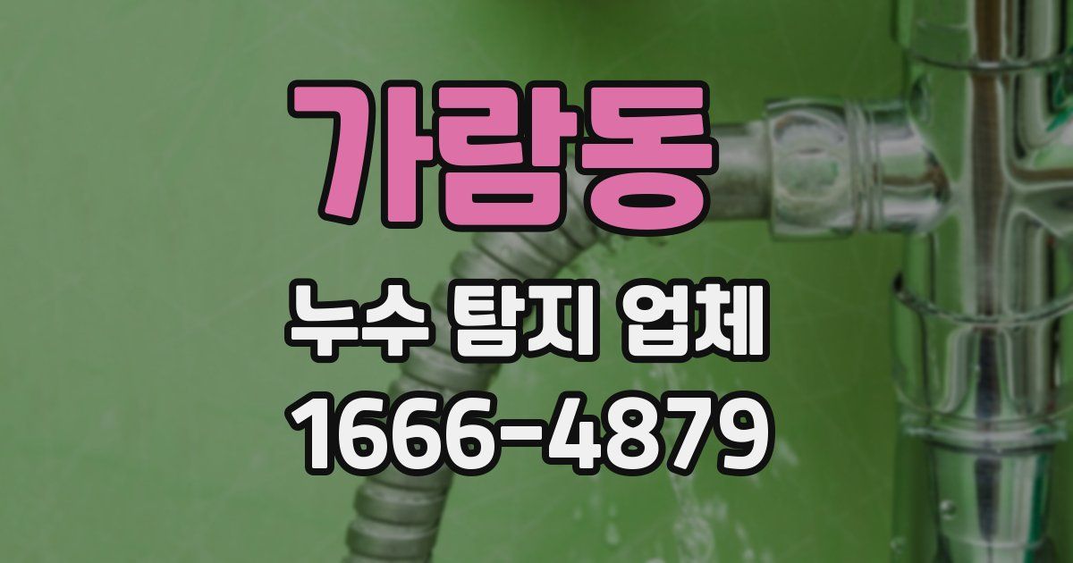 가람동 누수 탐지 업체