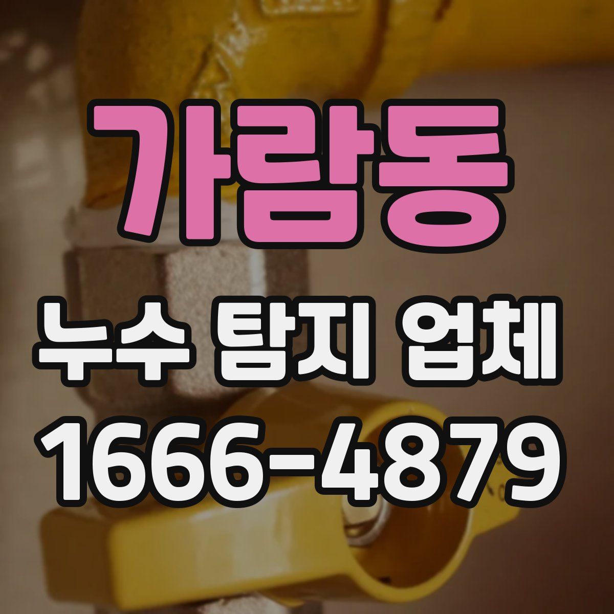 가람동 누수 탐지 업체