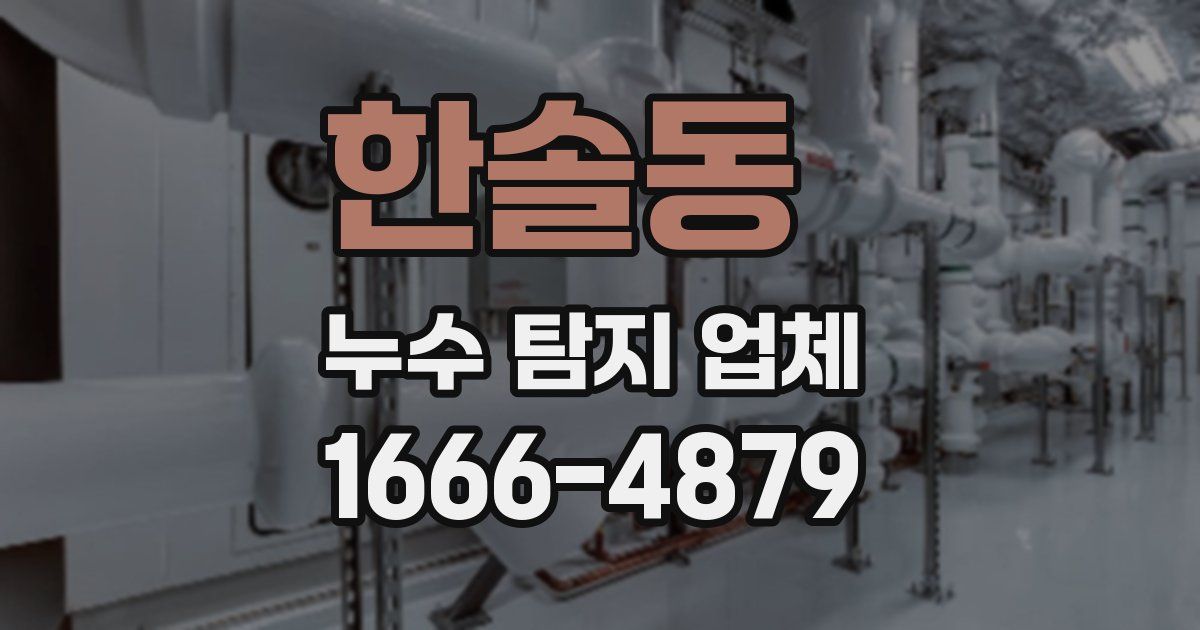 한솔동 누수 탐지 업체