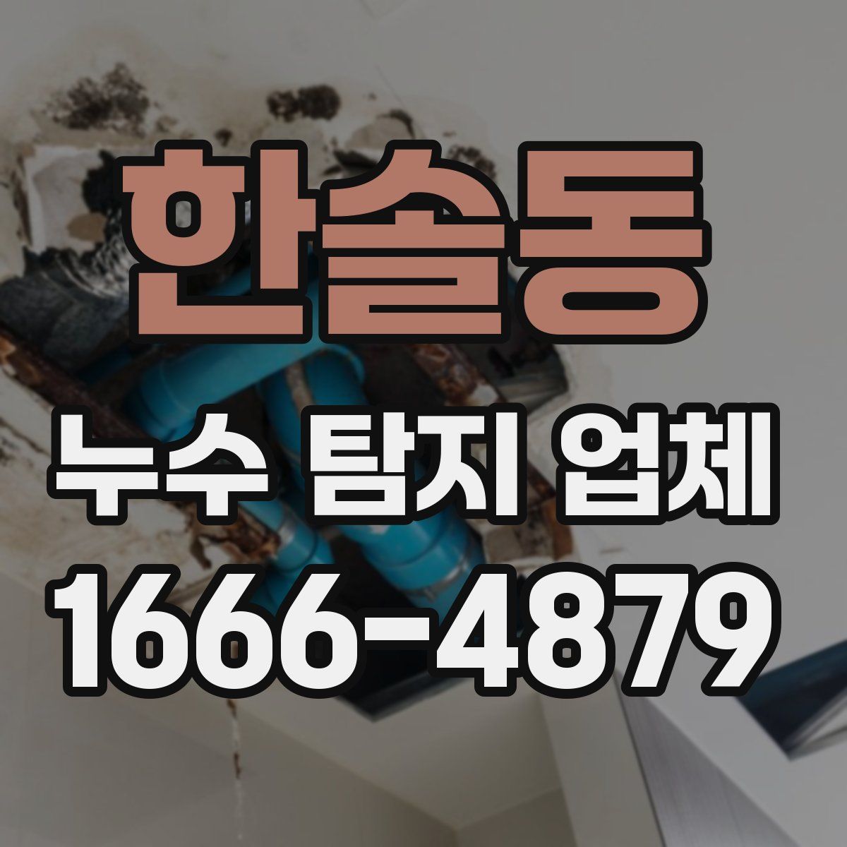 한솔동 누수 탐지 업체