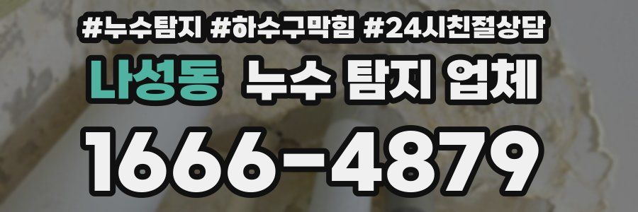 나성동 누수 탐지 업체