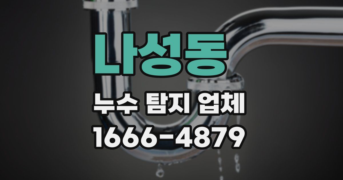 나성동 누수 탐지 업체