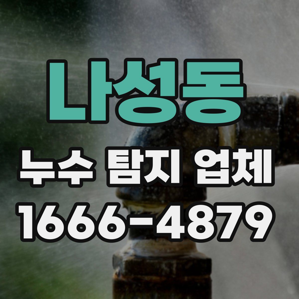 나성동 누수 탐지 업체