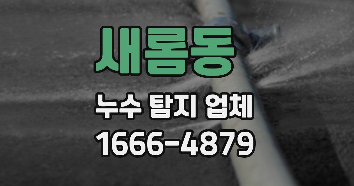 새롬동 누수 탐지 업체