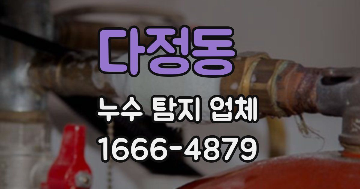 다정동 누수 탐지 업체