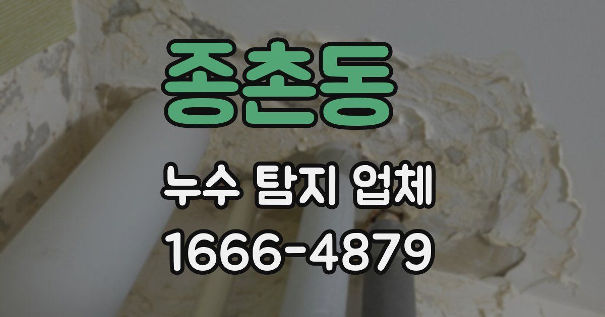 종촌동 누수 탐지 업체