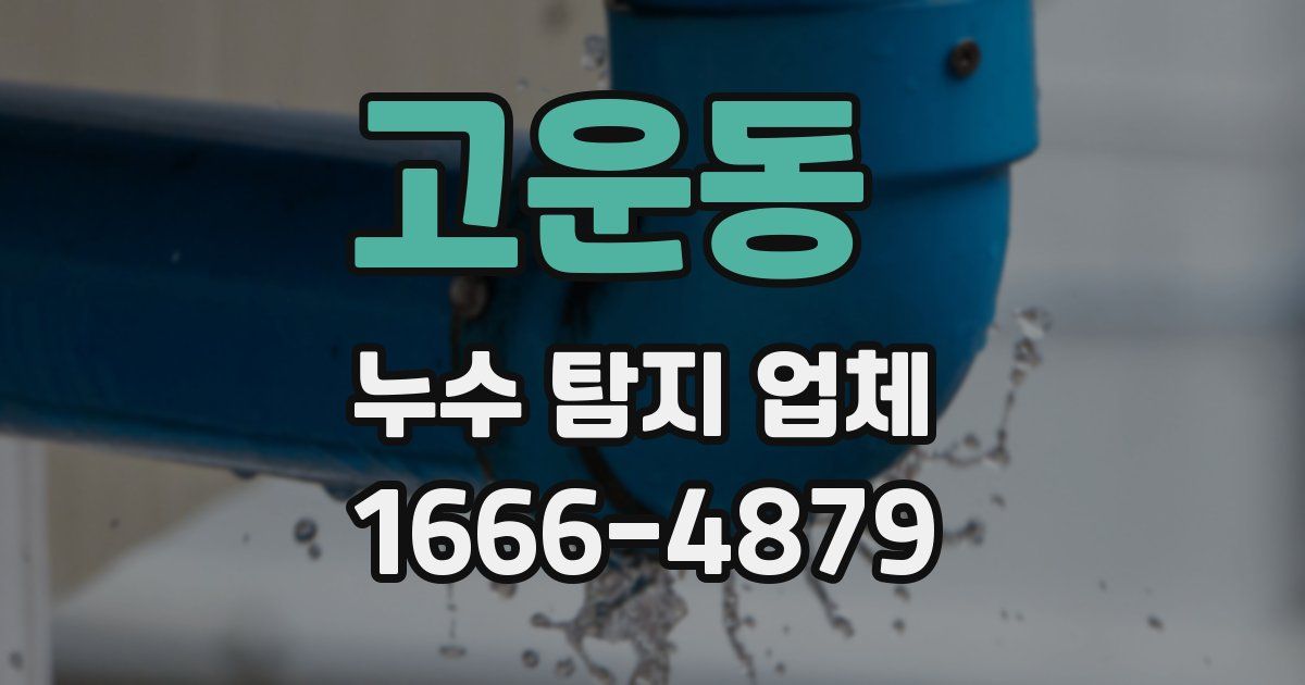 고운동 누수 탐지 업체