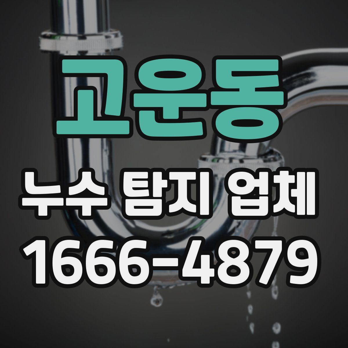 고운동 누수 탐지 업체