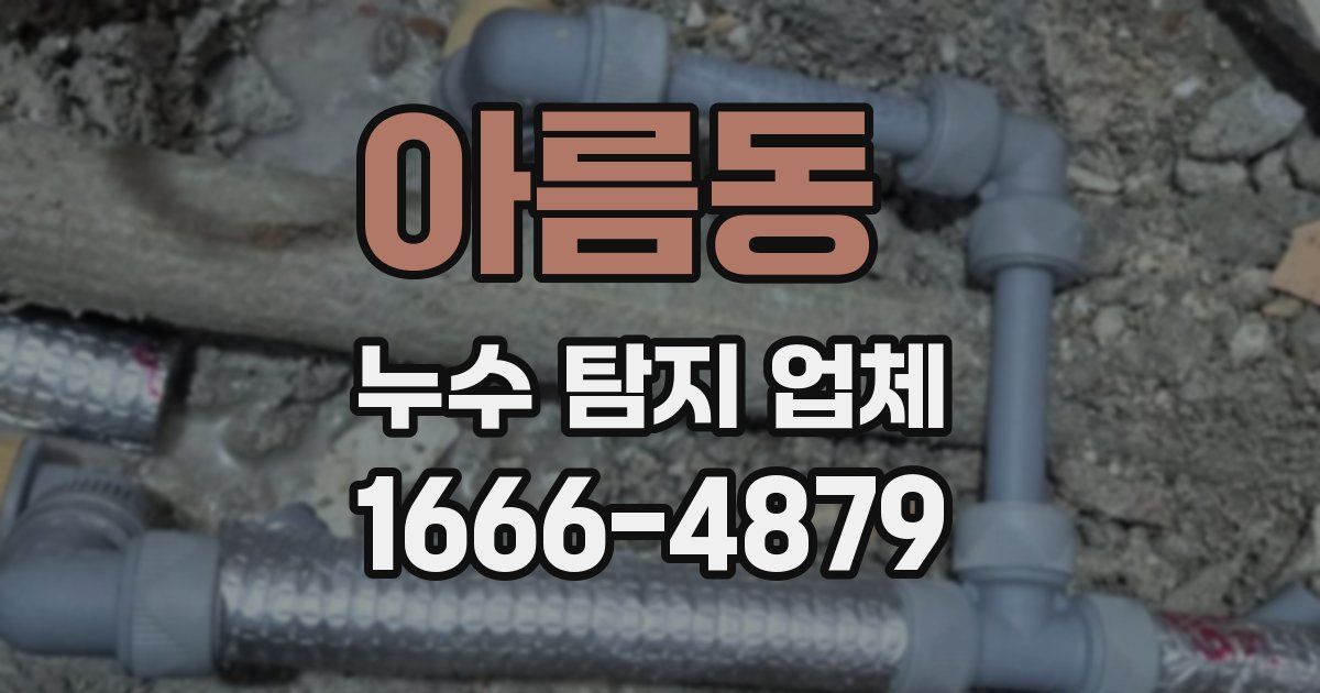 아름동 누수 탐지 업체