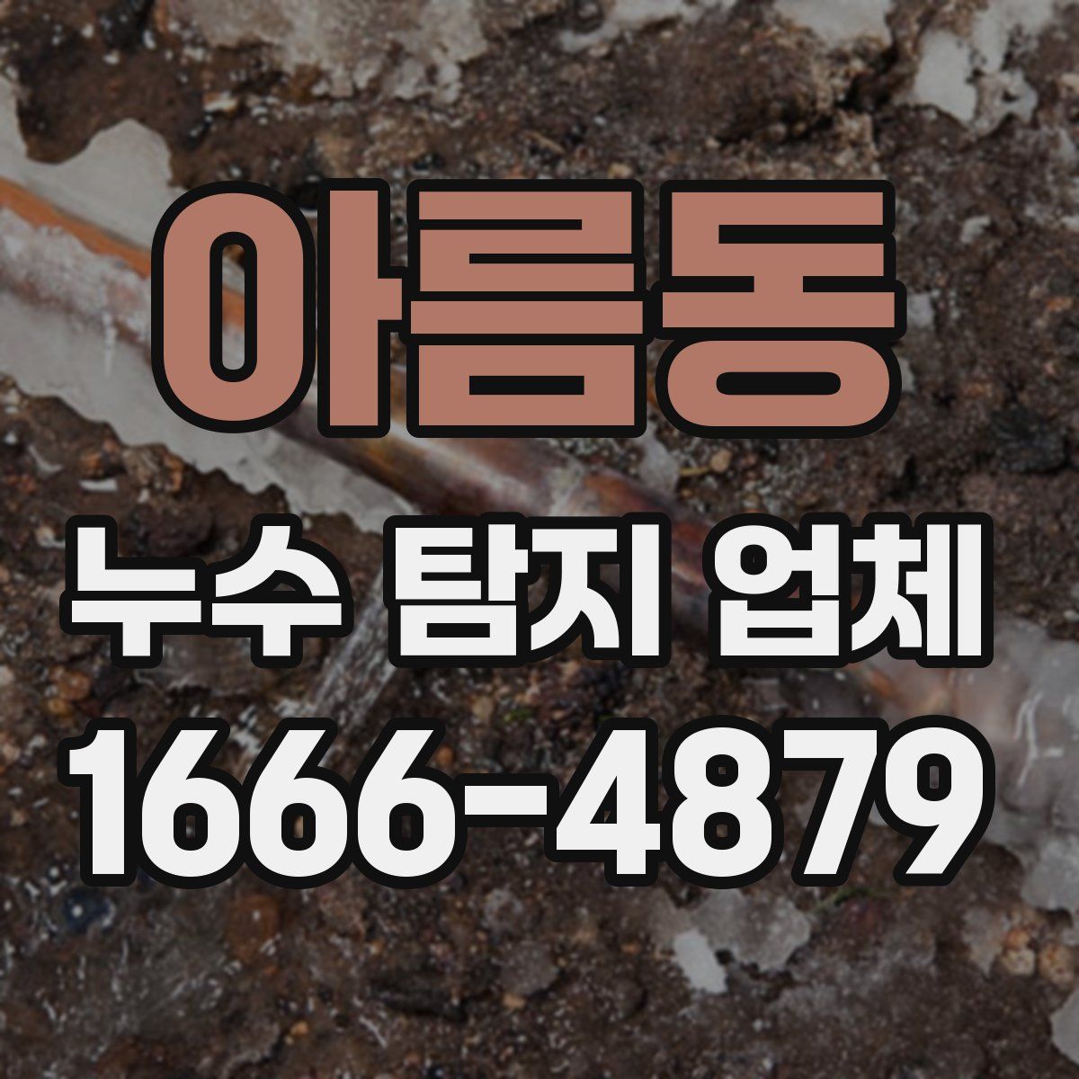 아름동 누수 탐지 업체