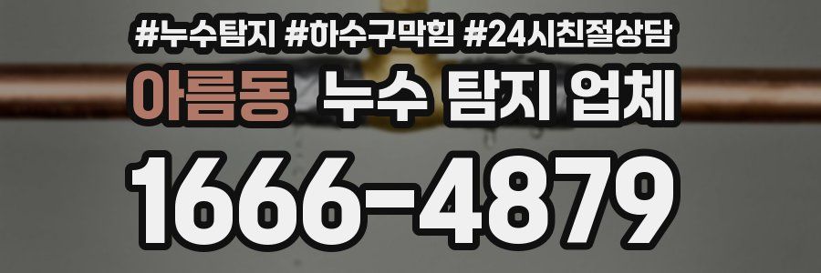 아름동 누수 탐지 업체