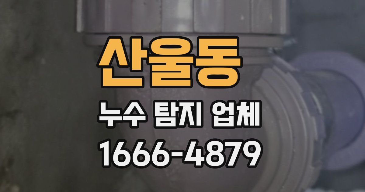 산울동 누수 탐지 업체