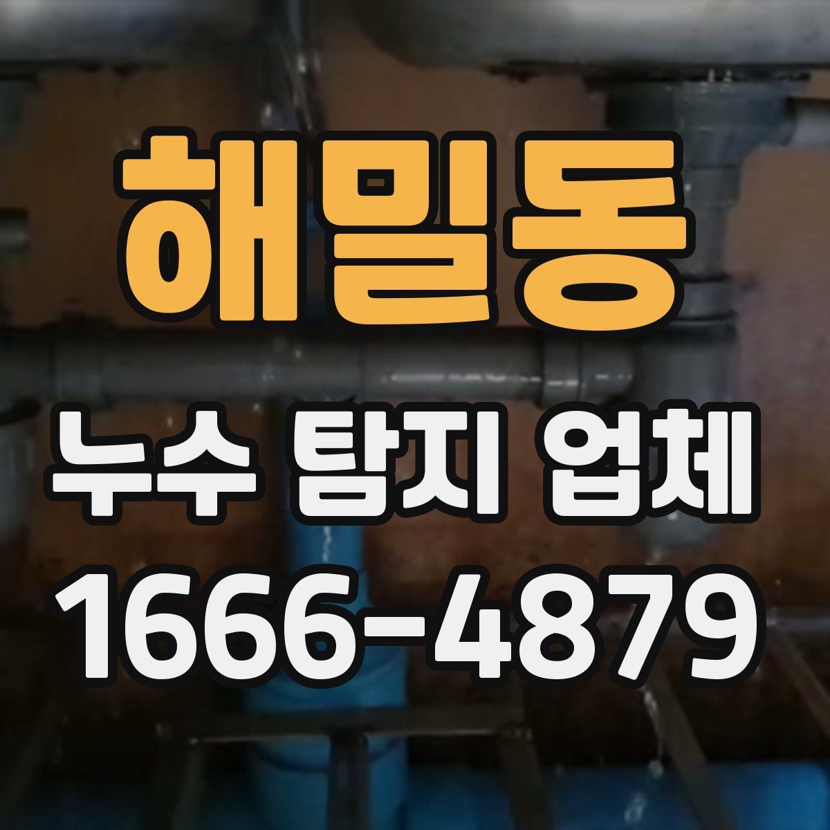 해밀동 누수 탐지 업체