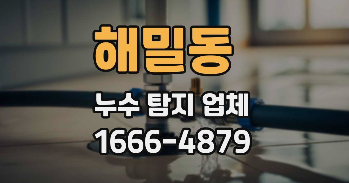 해밀동 누수 탐지 업체