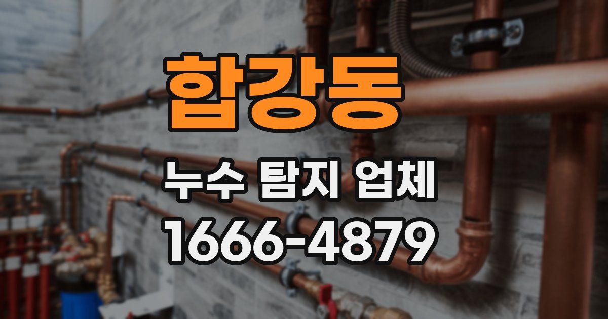 합강동 누수 탐지 업체