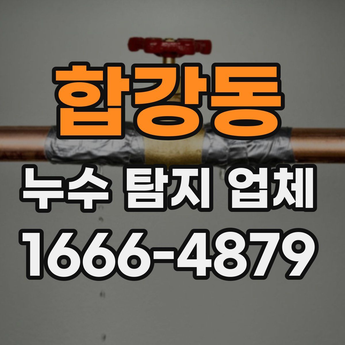 합강동 누수 탐지 업체