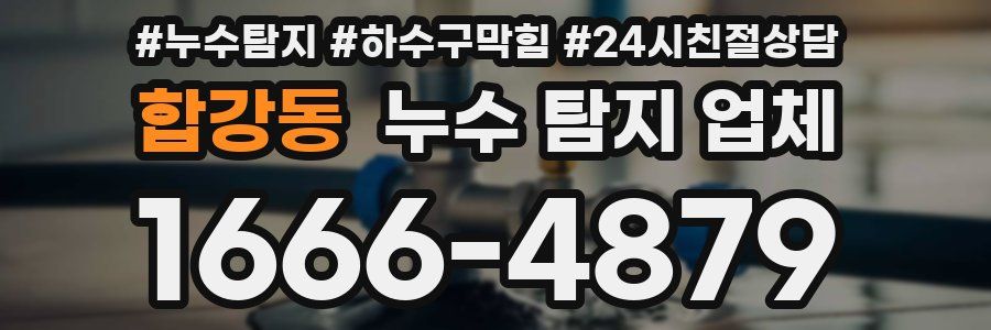 합강동 누수 탐지 업체