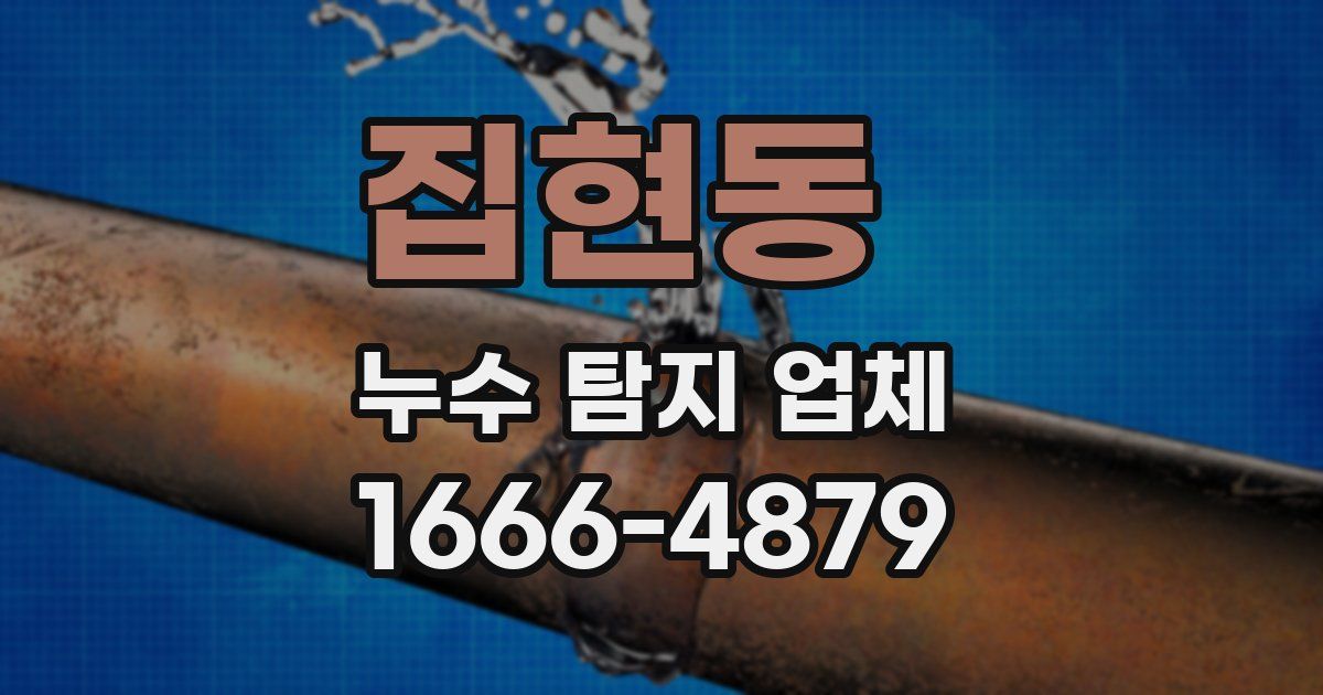 집현동 누수 탐지 업체