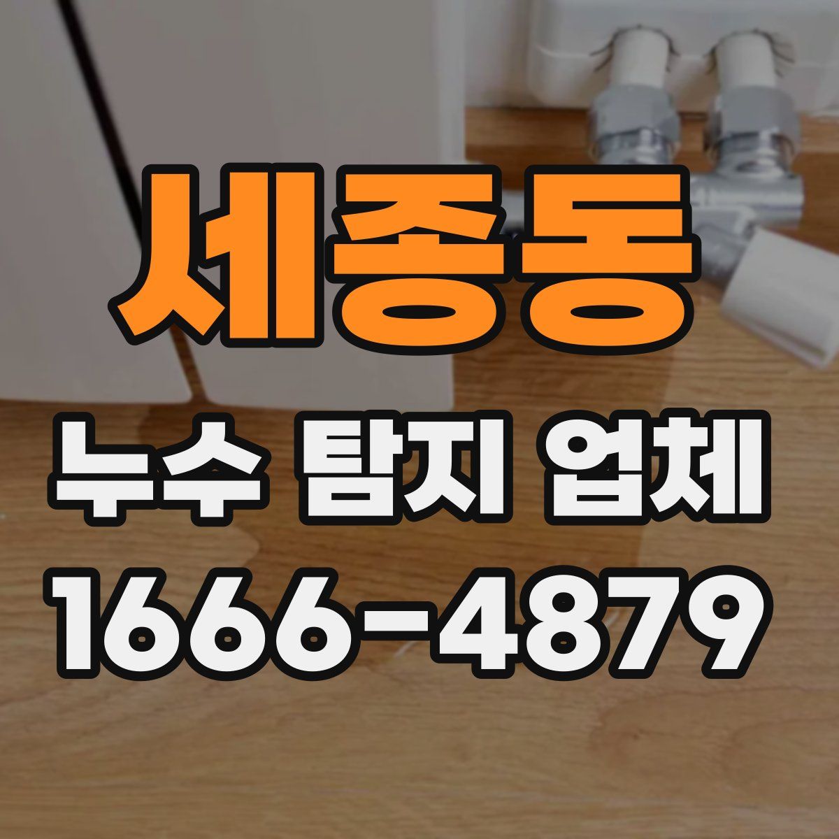 세종동 누수 탐지 업체