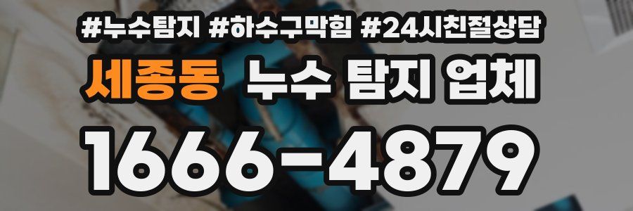 세종동 누수 탐지 업체